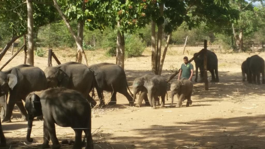 Dhammika Magic Palace Wadduwa Buitenkant foto