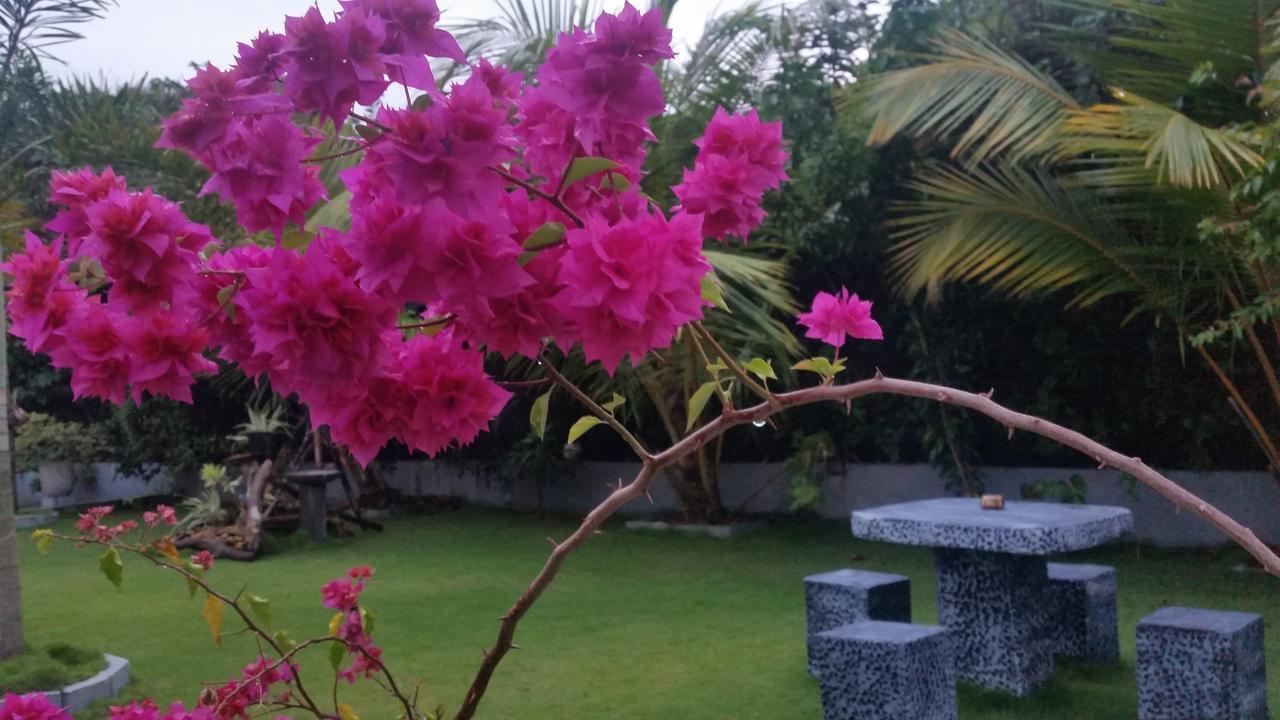 Dhammika Magic Palace Wadduwa Buitenkant foto